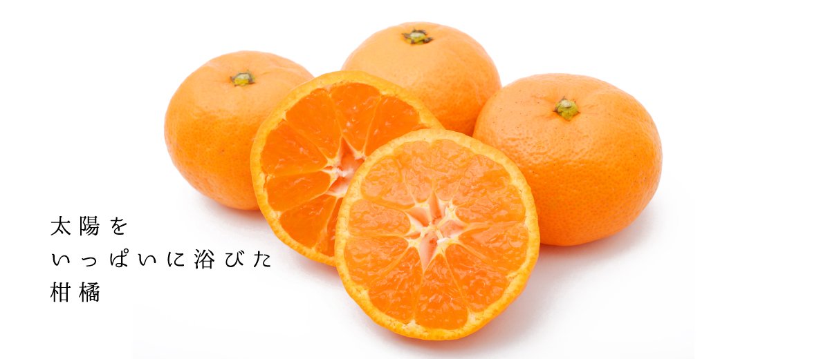 太陽をいっぱいに浴びた柑橘
